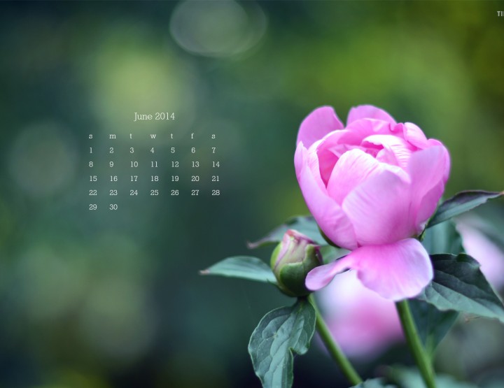 June Desktop Calendar Download!